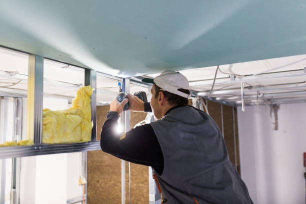 Best Insulation Contractor Near Me  in Dumfries, VA