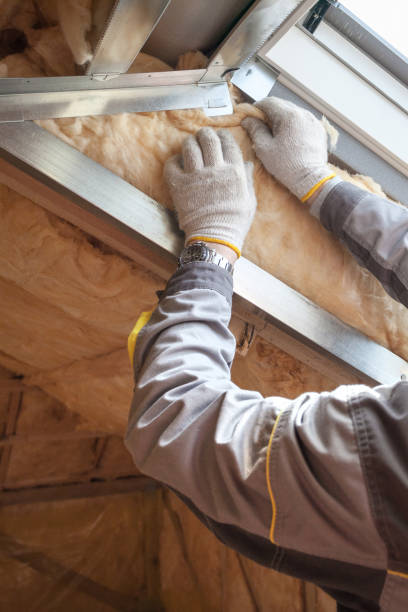 Best Insulation Repair Services  in Dumfries, VA