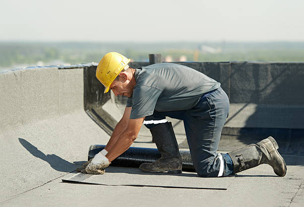 Best Insulation Contractors for Homes  in Dumfries, VA