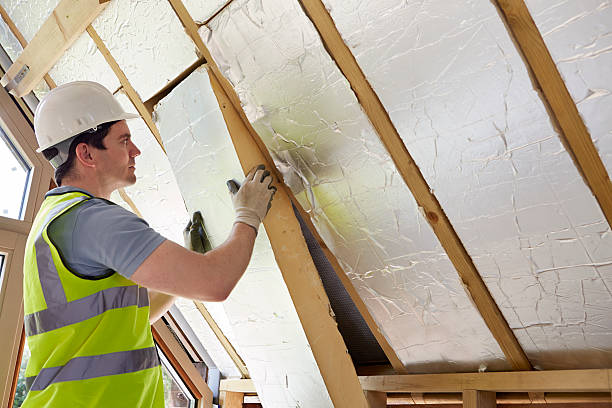 Best Insulation Inspection Services  in Dumfries, VA
